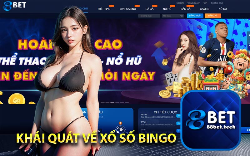 Khái quát về xổ số Bingo